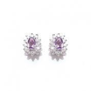 Earrings - amethyst, purple