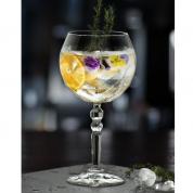 Gin glasses - Alkemist 58cl.
